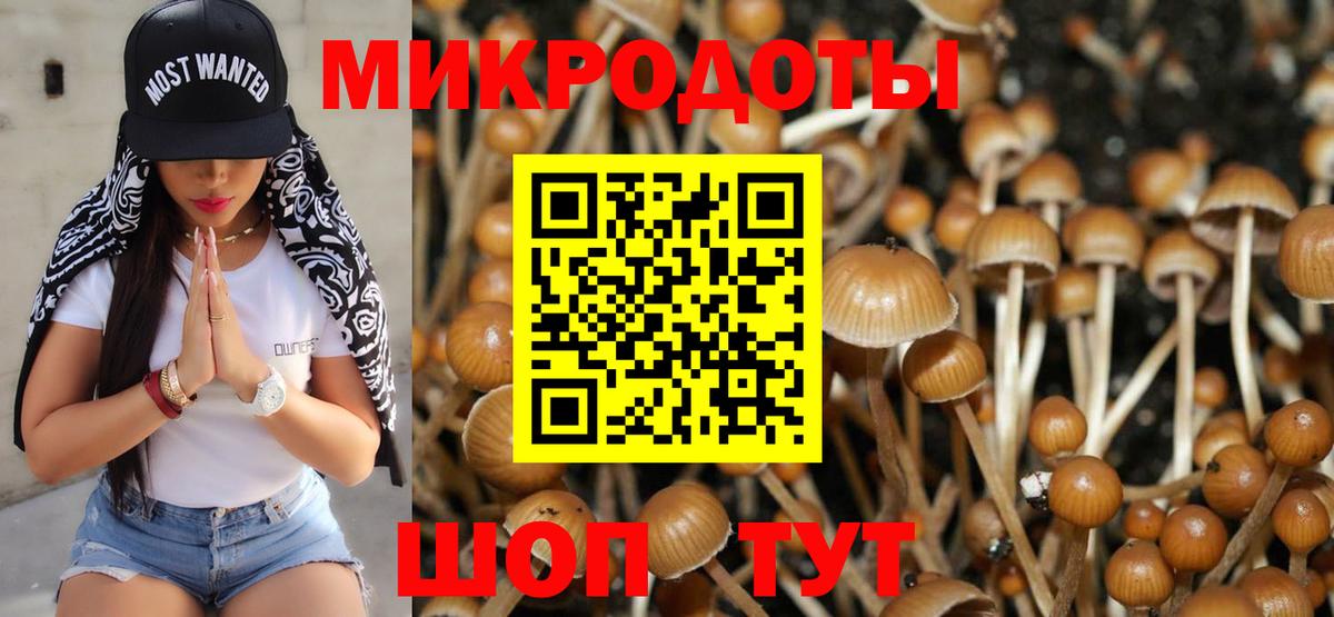 Псилоцибиновые грибы мицелий  Вход с VPN  Камышлов  Псилоцибиновые грибы Cubensis 
